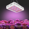 1000W LED Grow Light Double Chip Full Spectrum